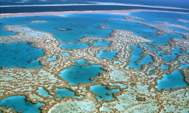 things to do in australia