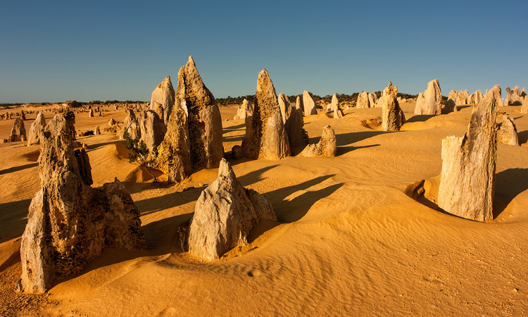 things to do in australia