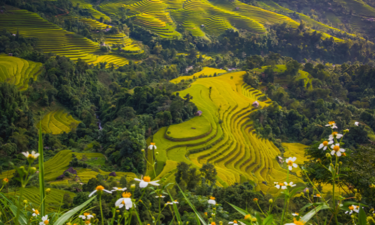 best places to visit in asia