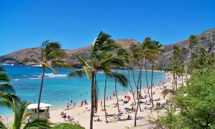 best winter vacations usa
