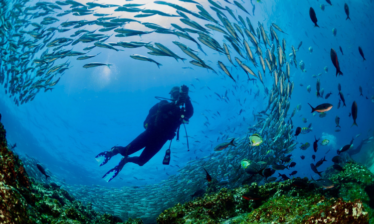 things to do in ecuador