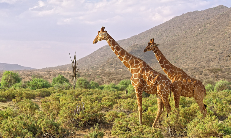 places to visit in kenya