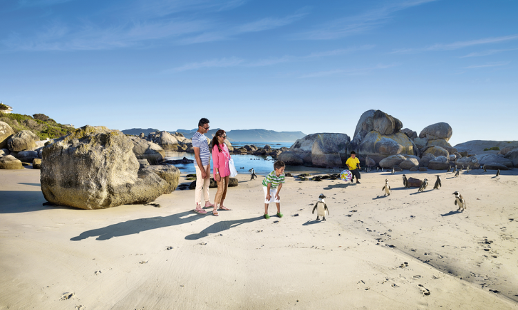 best time to visit south africa