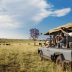 Best time to travel to South Africa: weather, safari, things to do
