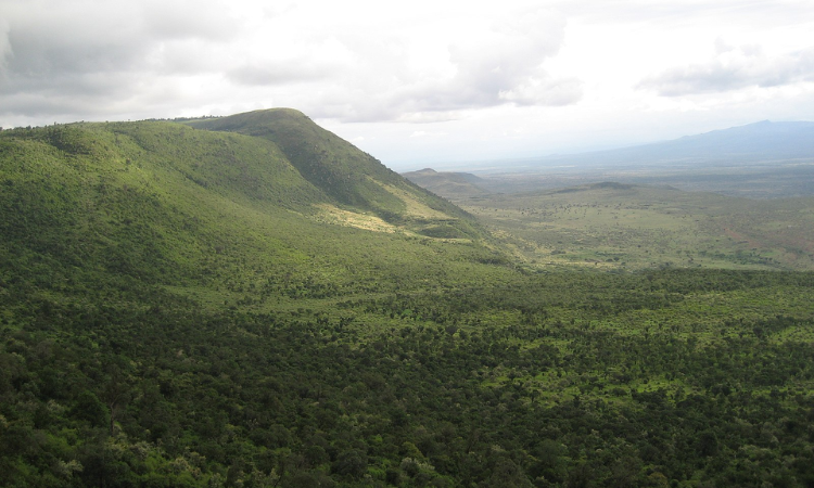 Things to do in Kenya