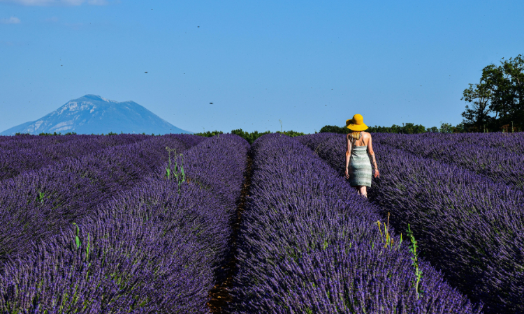 places to visit in france