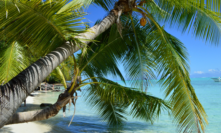 best babymoon destinations