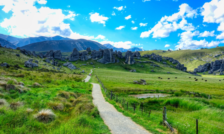 australia and new zealand vacation packages