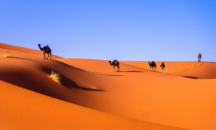 best time to visit morocco