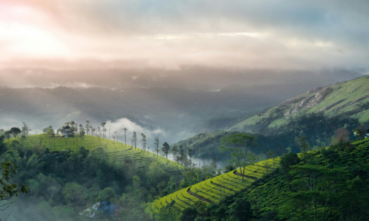 best time to visit india