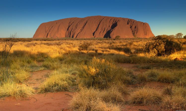 australia and new zealand vacation packages