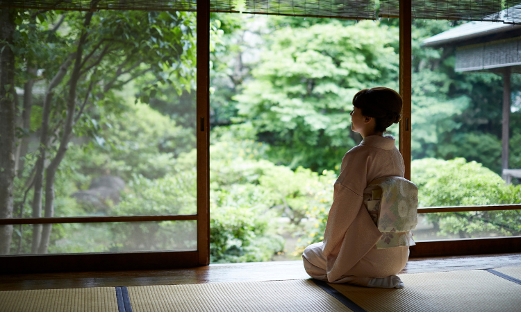 wellness retreats 2026