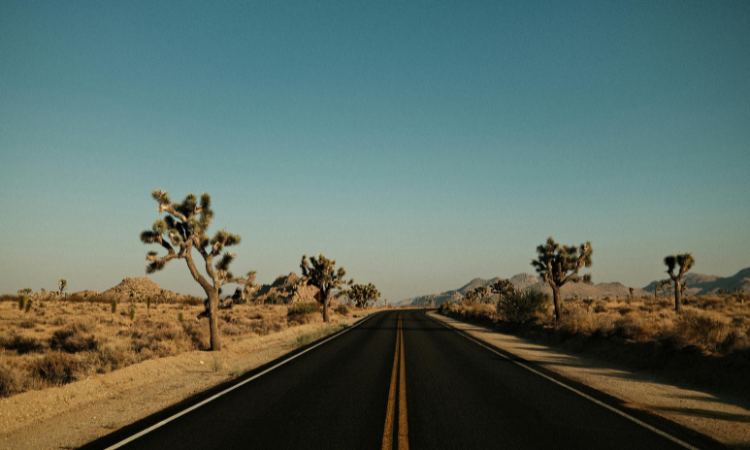 US road trips holidays