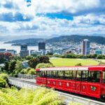 Top 30 Epic Unique Things to Do in New Zealand (2026)