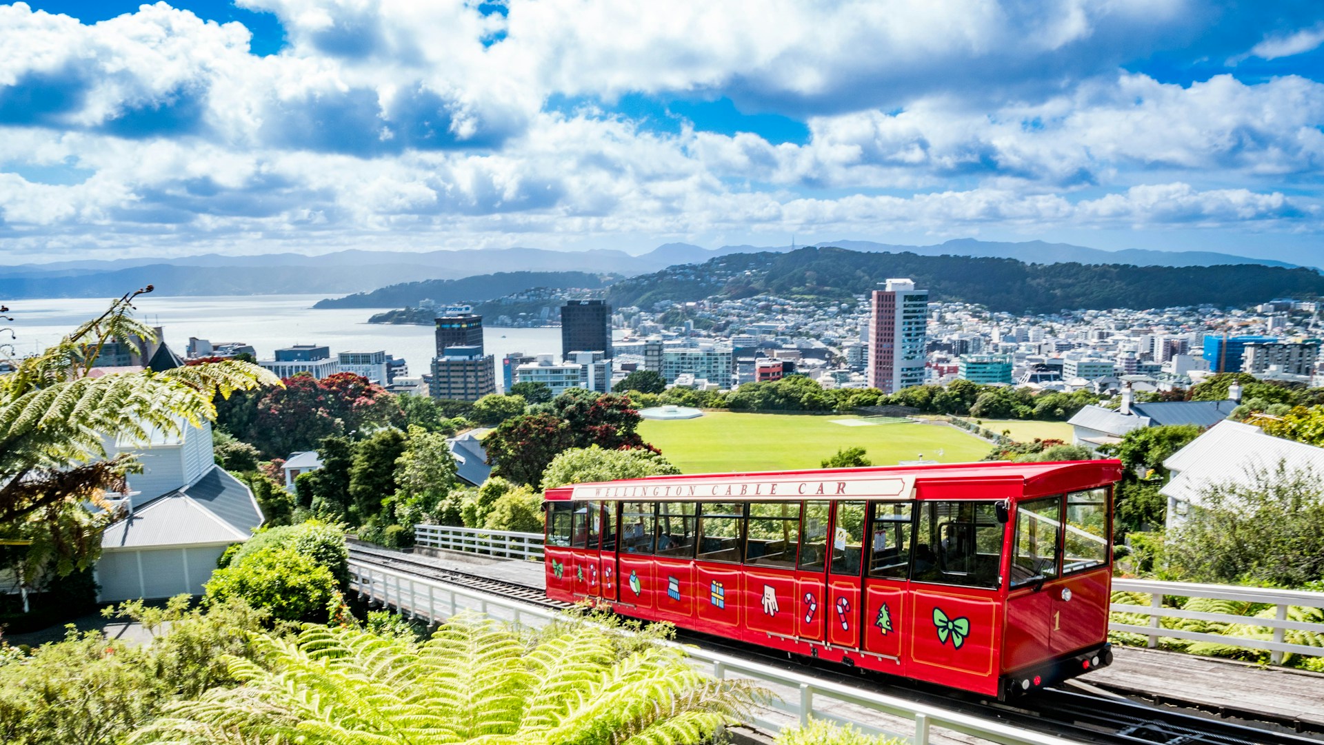 Top 30 Epic Unique Things to Do in New Zealand (2026)
