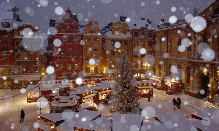 Winter River Cruise in Europe