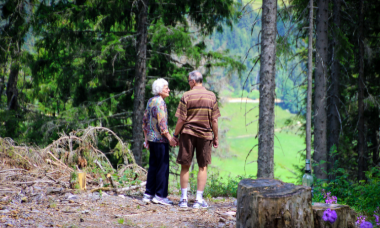 Senior-Friendly Travel