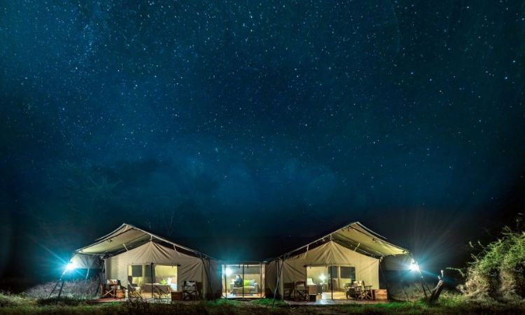 tanzania safari