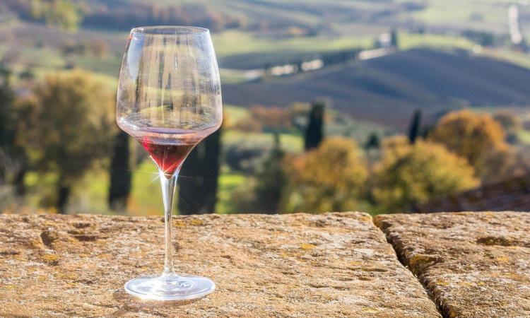 foodie travel