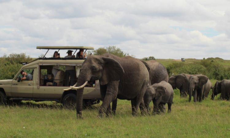 Best Tanzania Safari Destinations for First Time Travellers