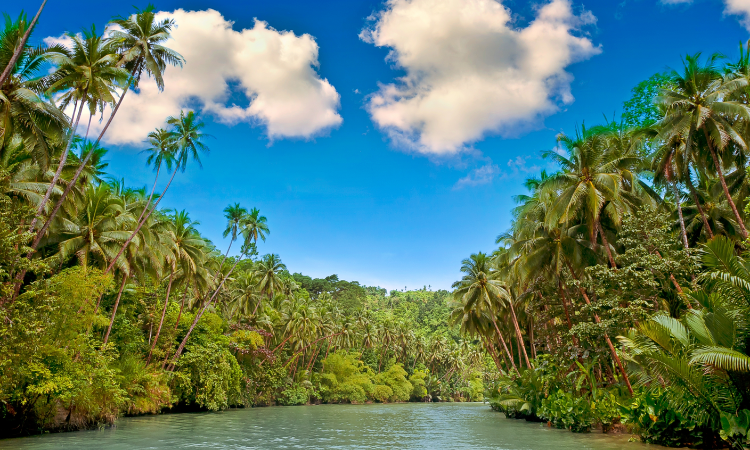 things to do in Brazil