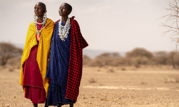 tanzania safari