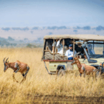 Best African Safari for First Timers: Your Complete Beginner’s Guide