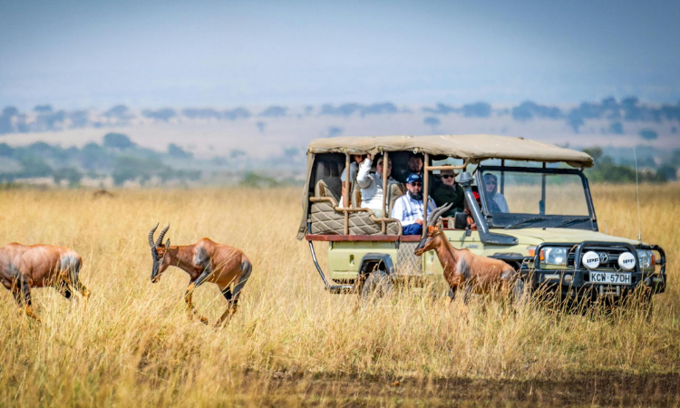 Best African Safari for First Timers: Your Complete Beginner’s Guide