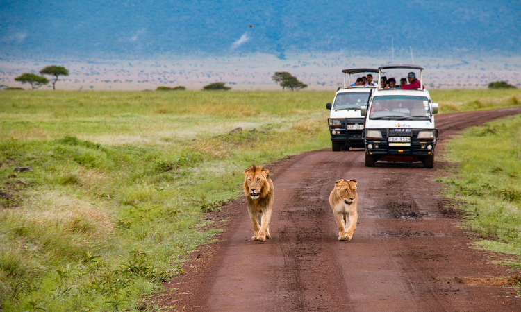 Top Things to Do in Kenya: Best Places & Experiences