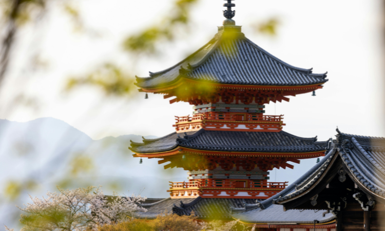 Japan travel budget 2026