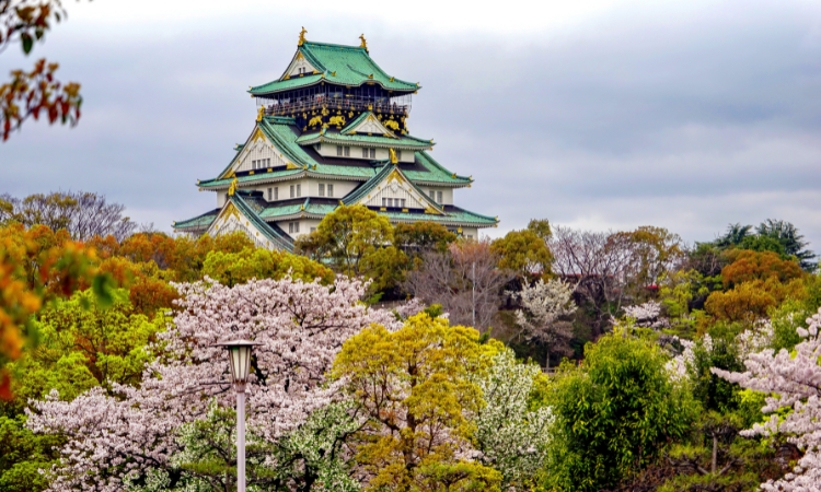 Japan travel budget 2026