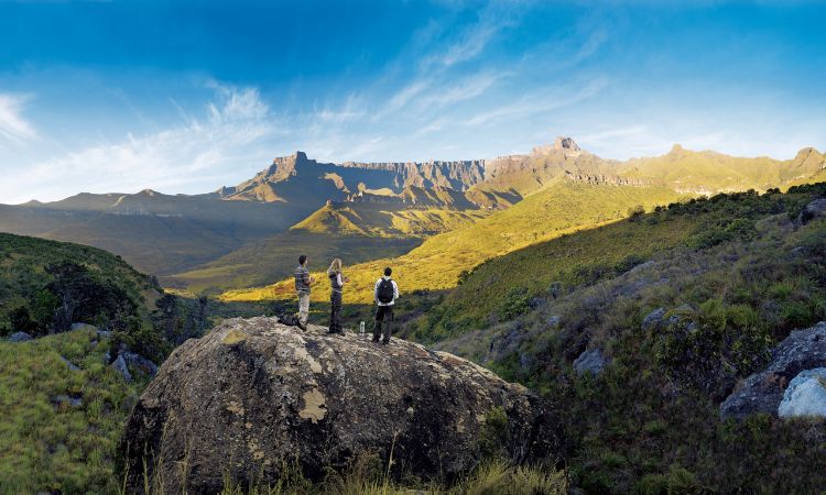 south africa weather