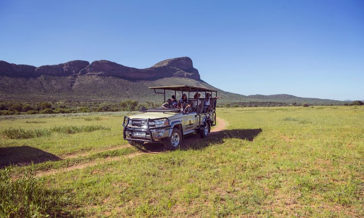 When to Visit South Africa? Weather and Seasonal Highlights
