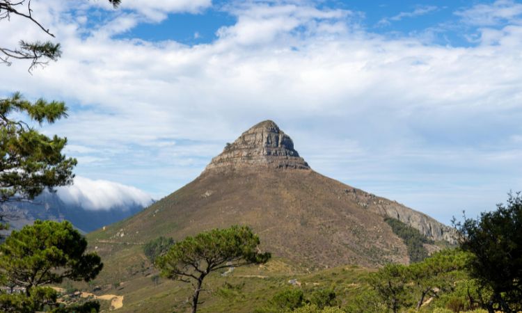 south africa weather