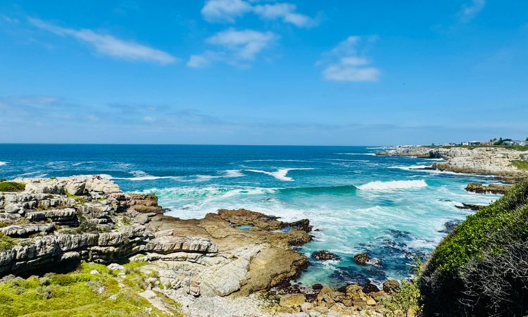 south africa weather