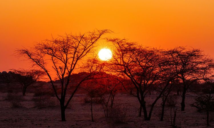south africa weather