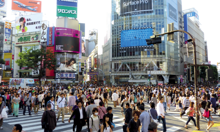 Tokyo tour guide