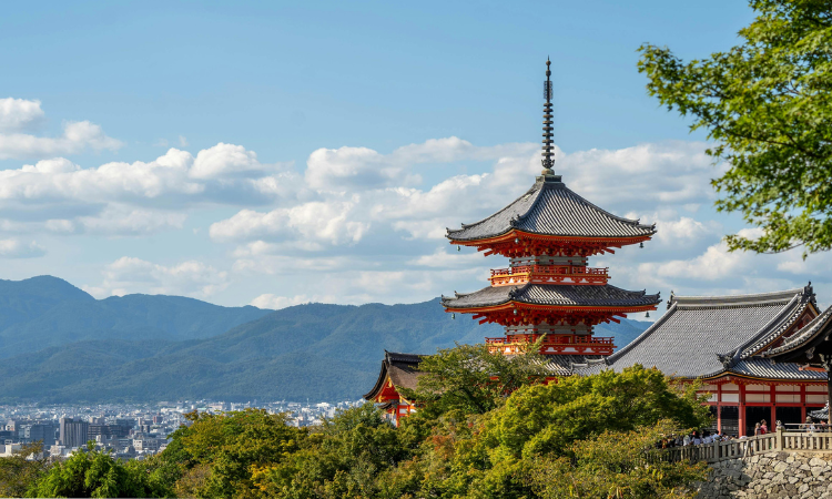 kyoto tours