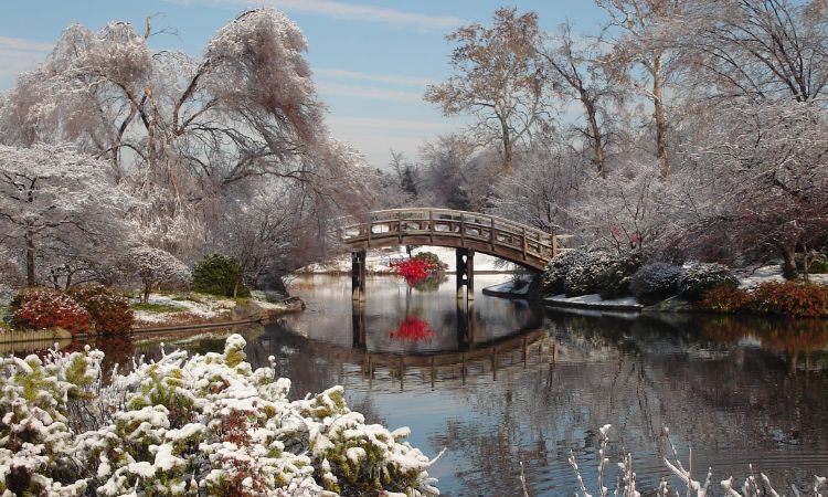 Japan guided tours for first-time visitors