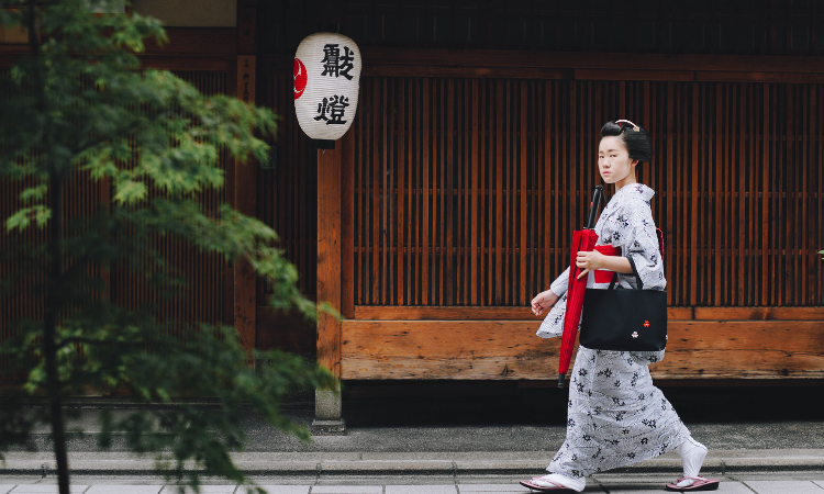 kyoto tours