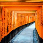 The Ultimate Japan Travel Budget Guide: Real Daily Costs & Smart Savings