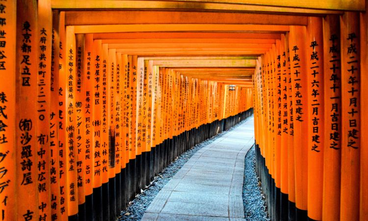 Japan guided tours for first-time visitors