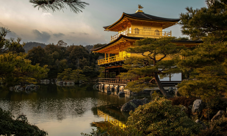 Kyoto Beyond the Crowds: How to Choose Kyoto Tours That Beat the Rush