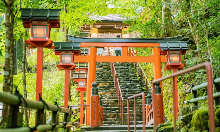 First-Time Japan Travel Guide: Tips, Costs and How to Book a Guided Tour