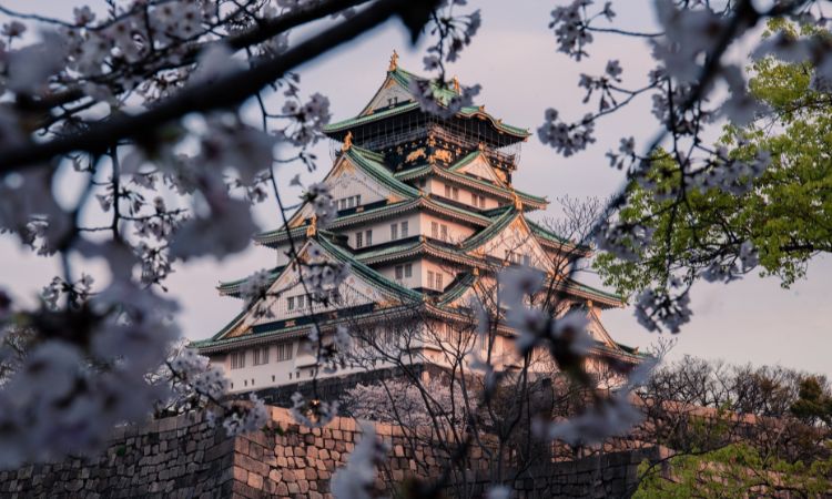 kyoto tours