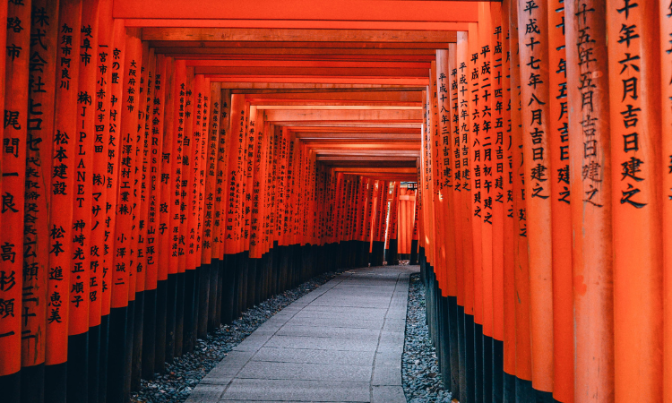 solo tours to Japan 