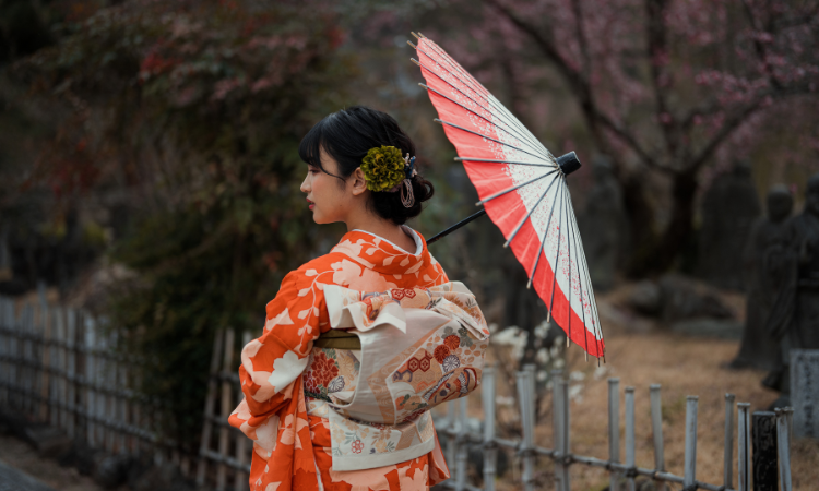 solo tours to Japan 