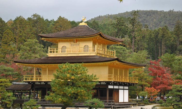 solo tours to Japan