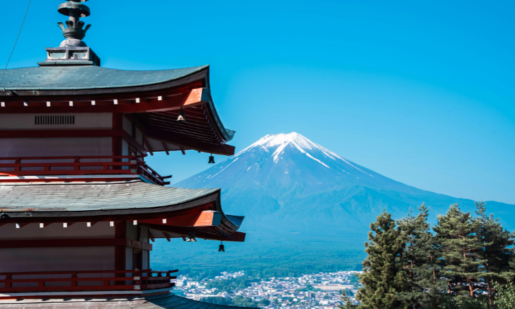 solo tours to Japan