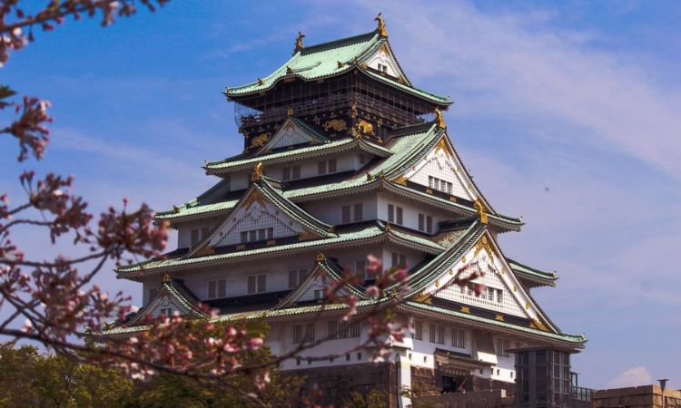 The Ultimate Guide to Osaka Tours: How to See the Best of the City in 3 Day
